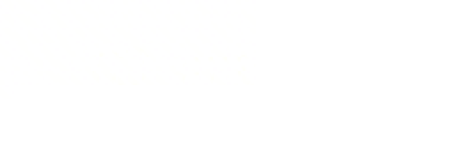 特别支持伙伴