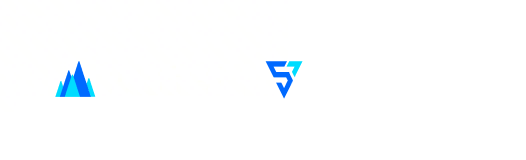 特别支持伙伴