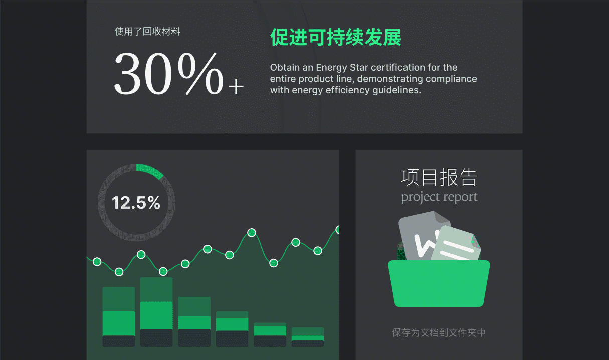 项目报告